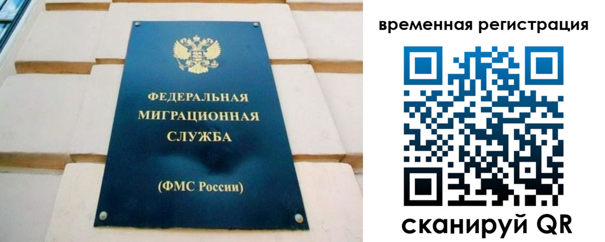 прописка гарантия в Заполярном